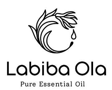 Trademark LABIBA OLA