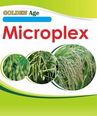 Trademark Golden Age Microplex