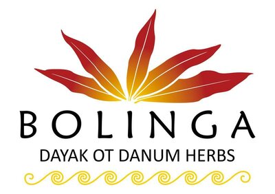 Trademark BOLINGA DAYAK OT DANUM HERBS + LUKISAN