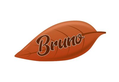 Trademark BRUNO