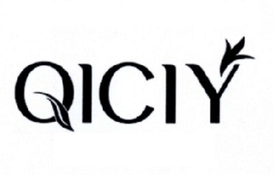 Trademark QICIY + LOGO