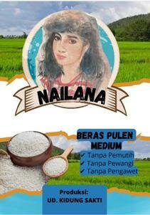 Trademark NAILANA + LUKISAN