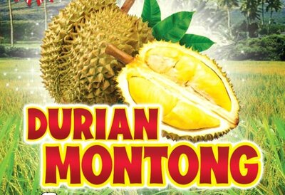 Trademark DURIAN MONTONG