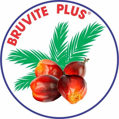 Trademark BRUVITE PLUS