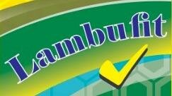 Trademark LambuFit + Lukisan