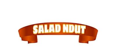 Trademark SALAD NDUT + LOGO