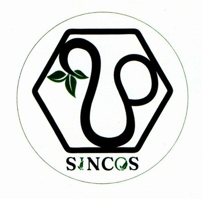 Trademark SINCOS + LOGO