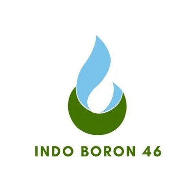 Trademark INDO BORON 46