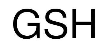 Trademark GSH