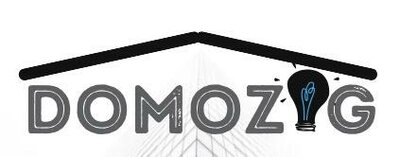 Trademark DOMOZIG