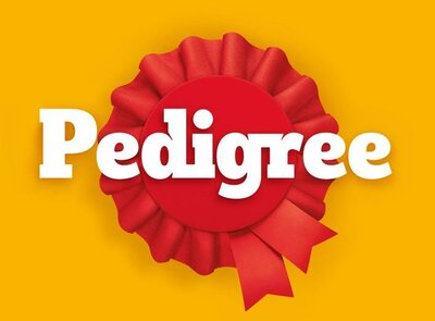 Trademark PEDIGREE & device