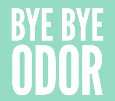 Trademark BYE BYE ODOR