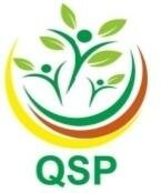 Trademark QSP+logo