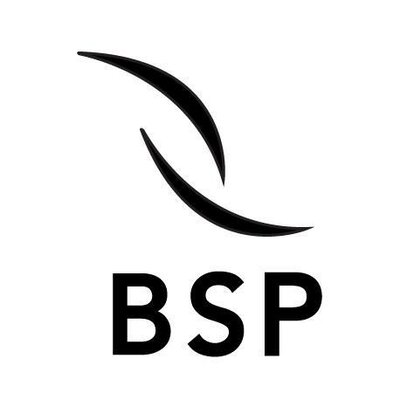 Trademark BSP + LOGO