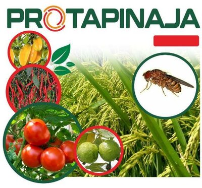 Trademark PROTAPINAJA + Logo