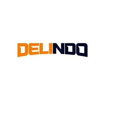 Trademark DELINDO