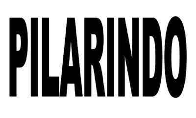 Trademark PILARINDO