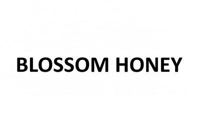 Trademark BLOSSOM HONEY