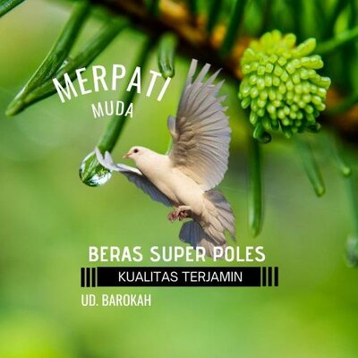 Trademark Merpati Muda