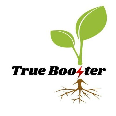 Trademark True Booster + Lukisan