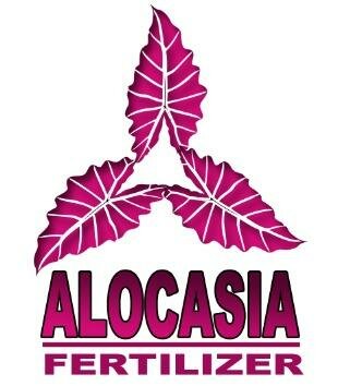 Trademark ALOCASIA FERTILIZER