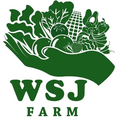 Trademark WSJ FARM