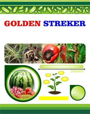 Trademark GOLDEN STREKER + LUKISAN