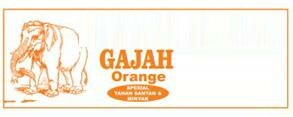 Trademark GAJAH ORANGE+LOGO