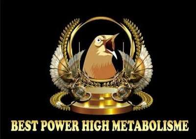 Trademark BEST POWER HIGH METABOLISME