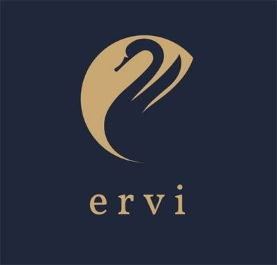 Trademark ERVI + LOGO