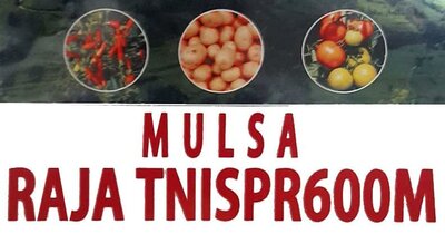 Trademark MULSA RAJA TNISPR600M + LUKISAN