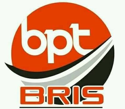 Trademark BPT BRIS + LOGO