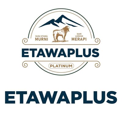 Trademark ETAWAPLUS