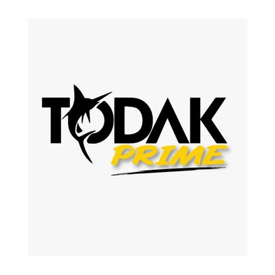 Trademark TODAK PRIME & Lukisan