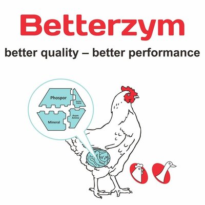 Trademark BETTERZYM