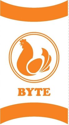 Trademark BYTE