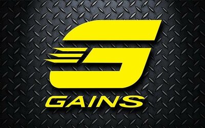 Trademark GAINS + LOGO