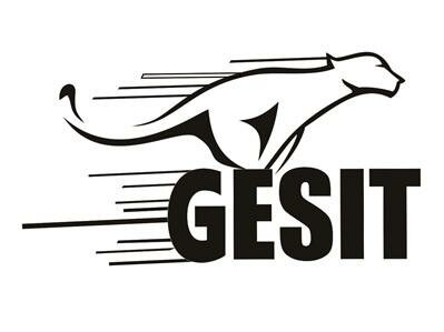 Trademark GESIT + LOGO