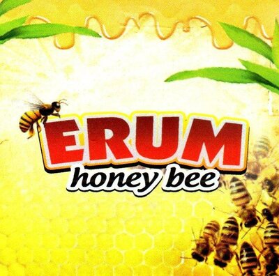 Trademark ERUM HONEY BEE + LUKISAN