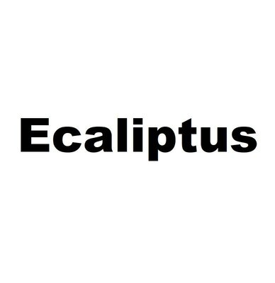 Trademark Ecaliptus