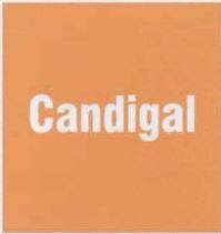 Trademark CANDIGAL