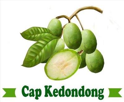 Trademark Cap Kedondong + Lukisan