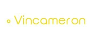 Trademark VINCAMERON + Logo