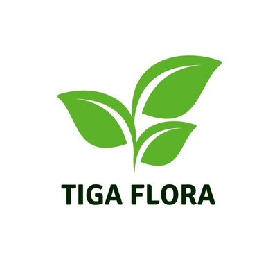 Trademark TIGA FLORA & GAMBAR