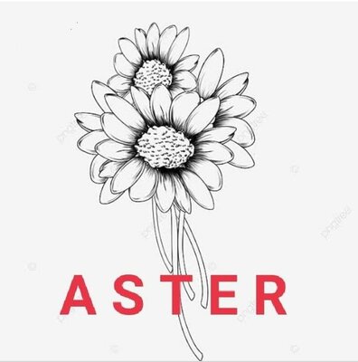 Trademark ASTER + LOGO