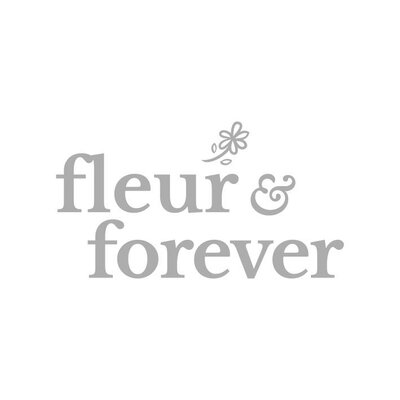 Trademark Fleur and Forever