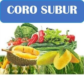 Trademark CORO SUBUR