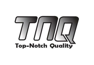 Trademark TNQ DAN LOGO