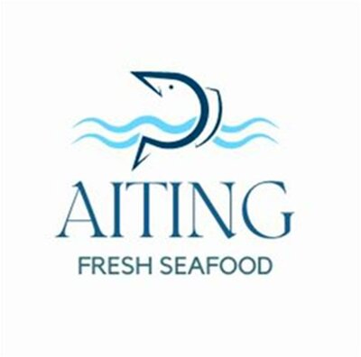 Trademark AITING dan Logo