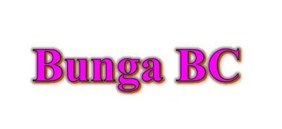 Trademark Bunga BC